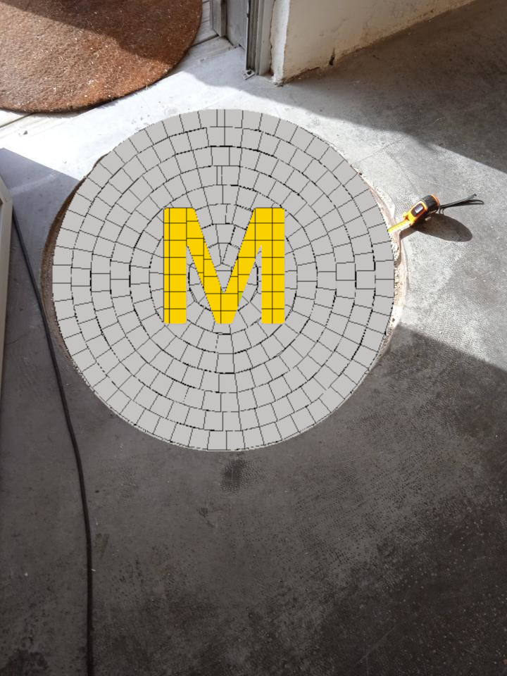Mimosa